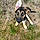 Arlo
