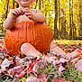 baby, pumpkin, autumn, leaves, forest, smiling, child, outdoor, nature, fall, grass, trees, sunlight, cute, seasonal, happy, portrait, sitting, holiday, background