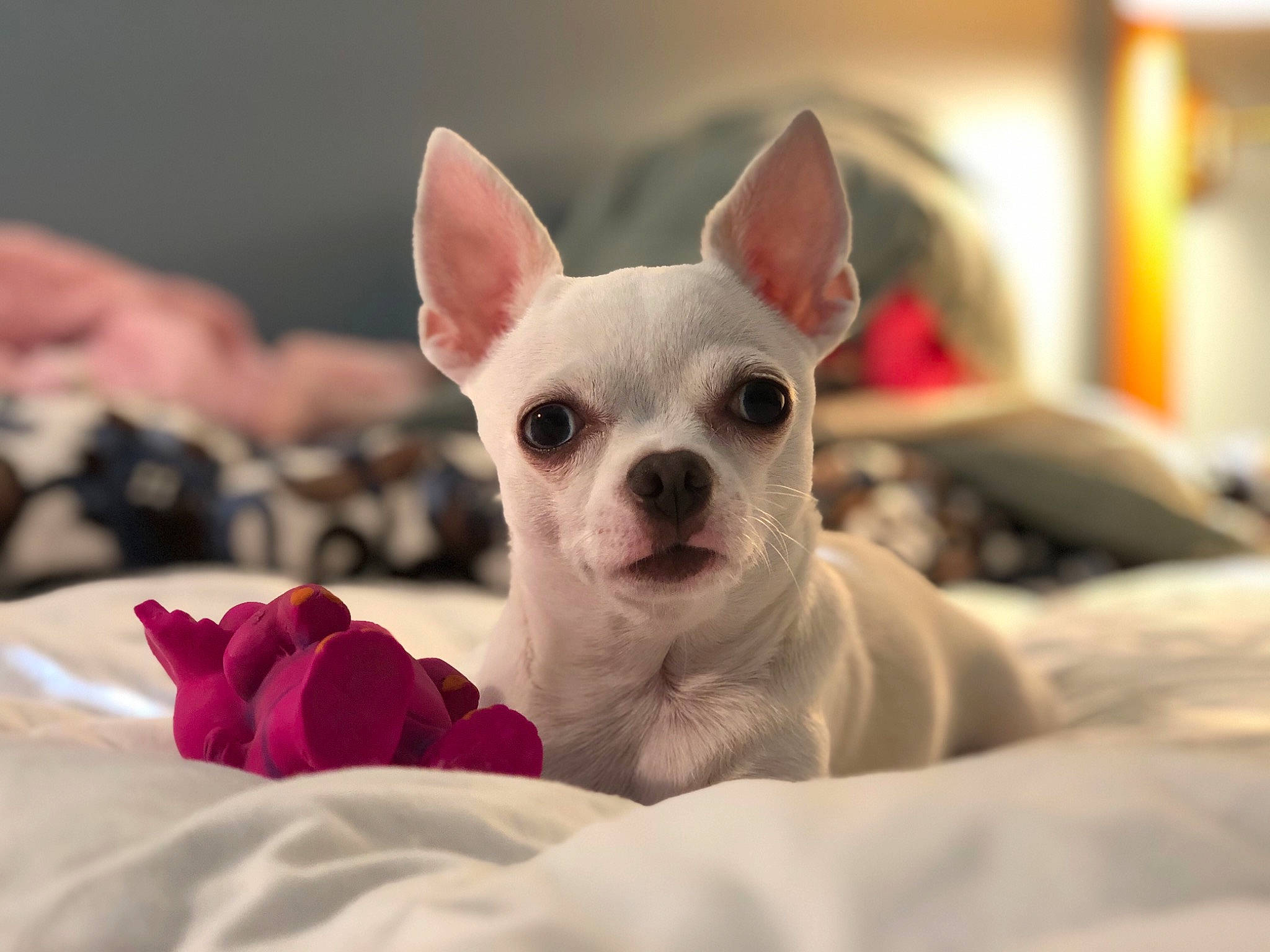 Ella