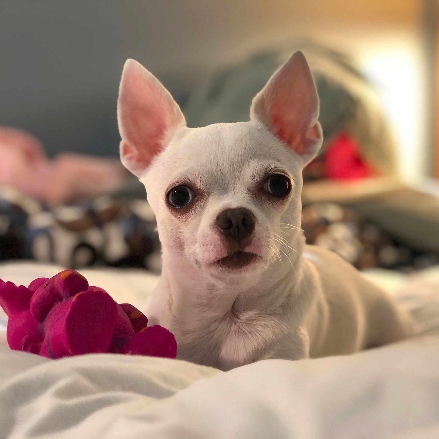 Ella