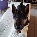 Bruno K.