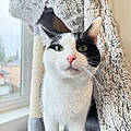 Caty L.