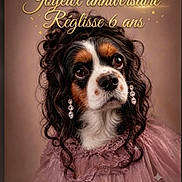 Réglisse participe au concours pour gagner de l'argent avec cette photo : dog, portrait, costume, dress, earrings, curly_hair, brown_background, close_up, celebration, birthday, text_overlay, cute, pet, animal, fancy, pink, lace, studio_photo, adorable, festive