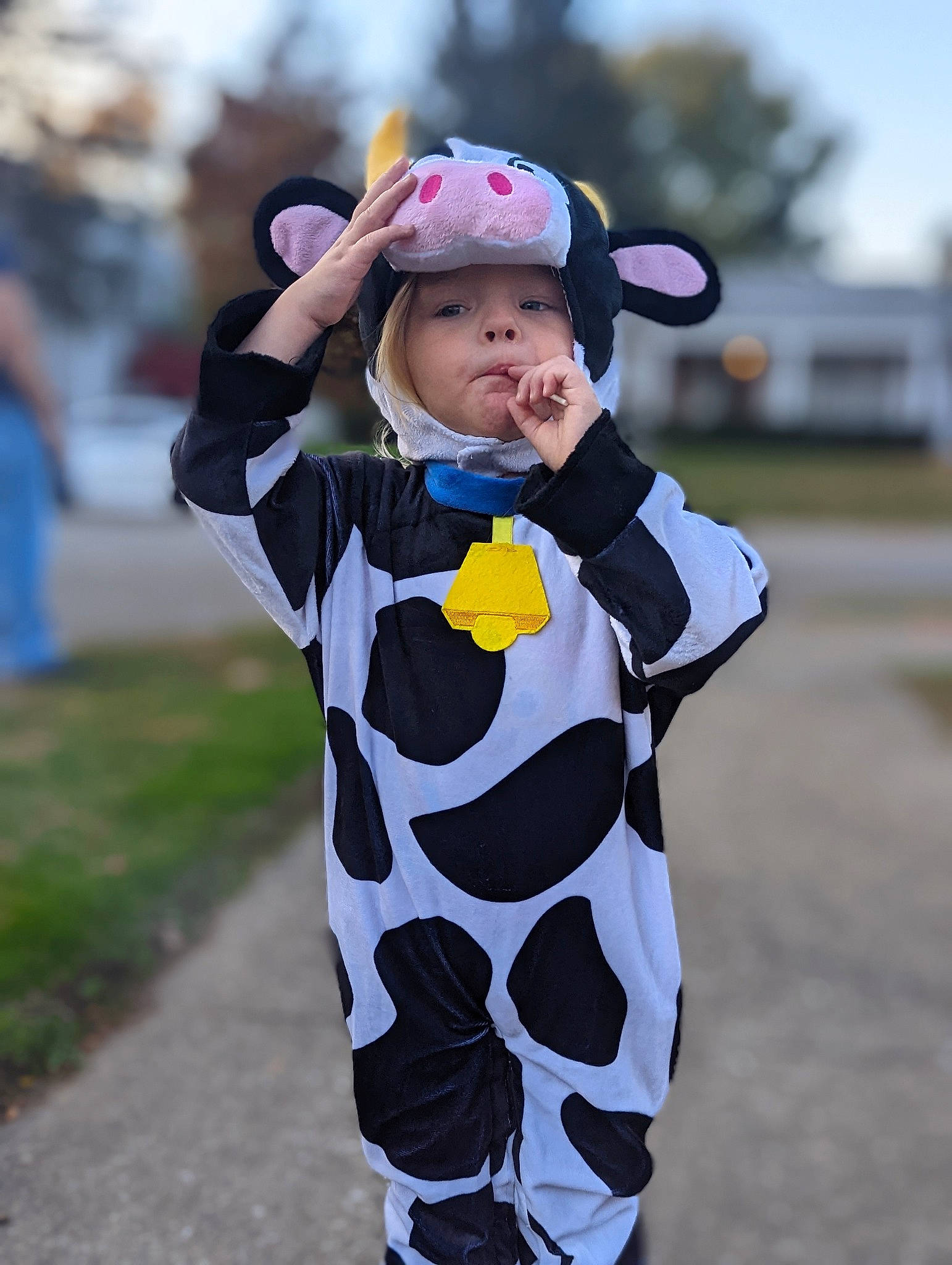 Shiloh joined the competition — help win amazing prizes! baby, child, costume, fur, gesture, grass, happy, hat, headwear, leisure, pattern, person, personal_protective_equipment, recreation, sky, sleeve, smile, t_shirt, toddler, tradition