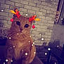 cat, orange_cat, reindeer_antlers_filter, digital_filter, snowfall_effect, indoor, brick_wall, couch, pet, animal, cute, feline, sitting, cozy, decor, christmas, holiday_theme, winter, playful, filter