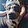 Roxy