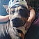 Roxy