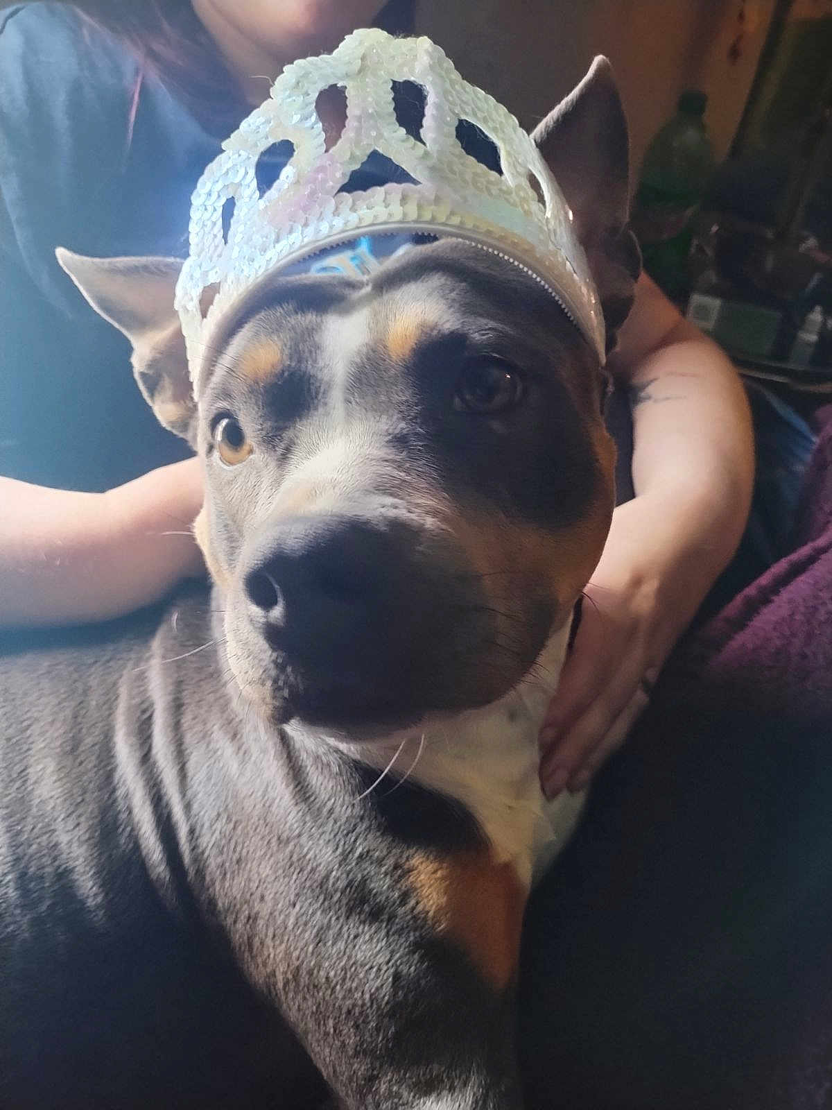 Roxy