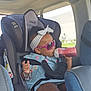 Jayden is registered to the contest to win money with this photo: baby, bottle, bracelet, car_interior, car_seat, child, daylight, dress, footwear, headband, kid, safety, seatbelt, sitting, sunglasses, sunroof, toddler, travel, vehicle, window