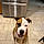 Leelynn