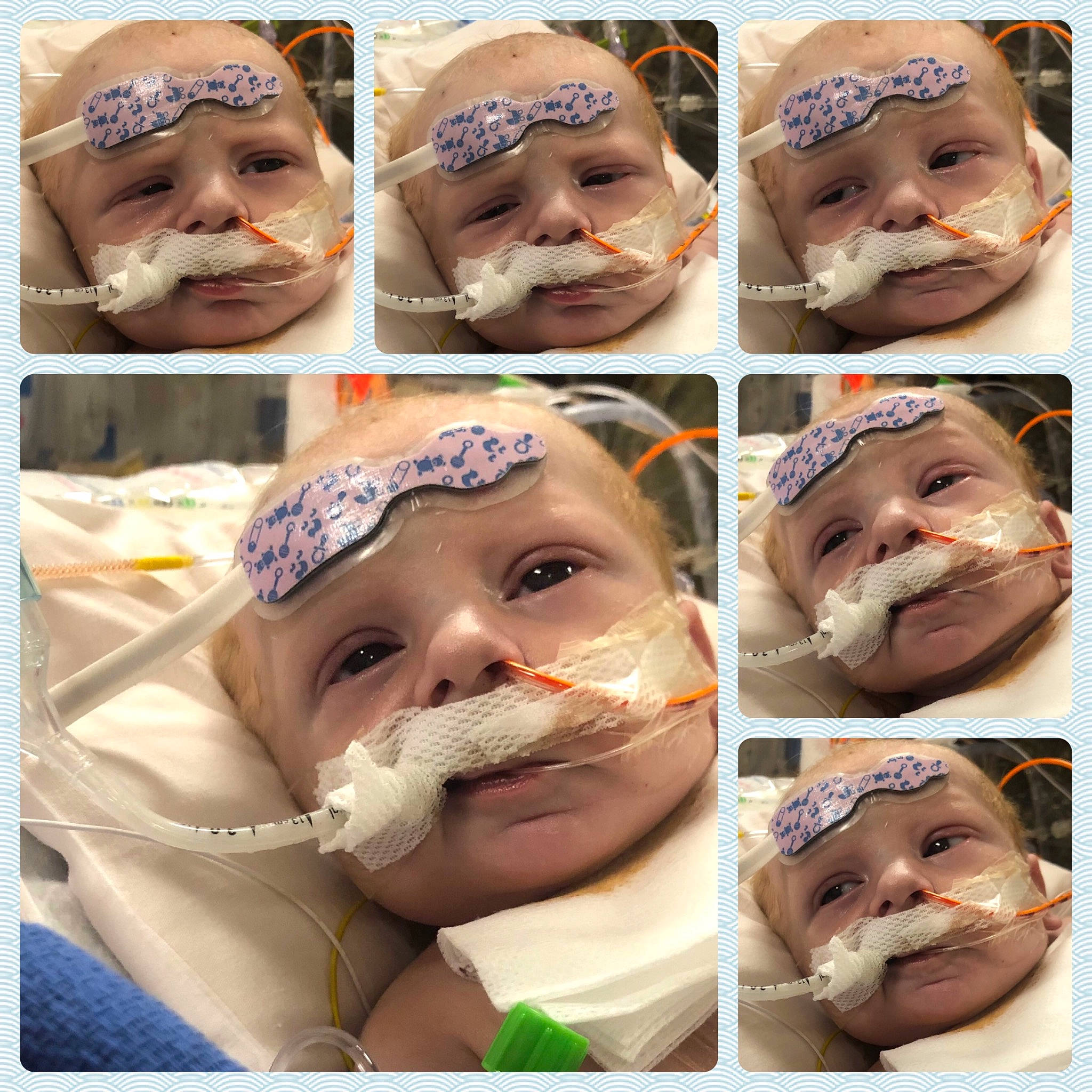 Ryker joined the competition — help win amazing prizes! adaptation, beauty, cheek, chin, eyebrow, eyelash, facial_expression, forehead, happy, headwear, human, iris, jaw, mouth, neck, nose, organ, people, person, photograph