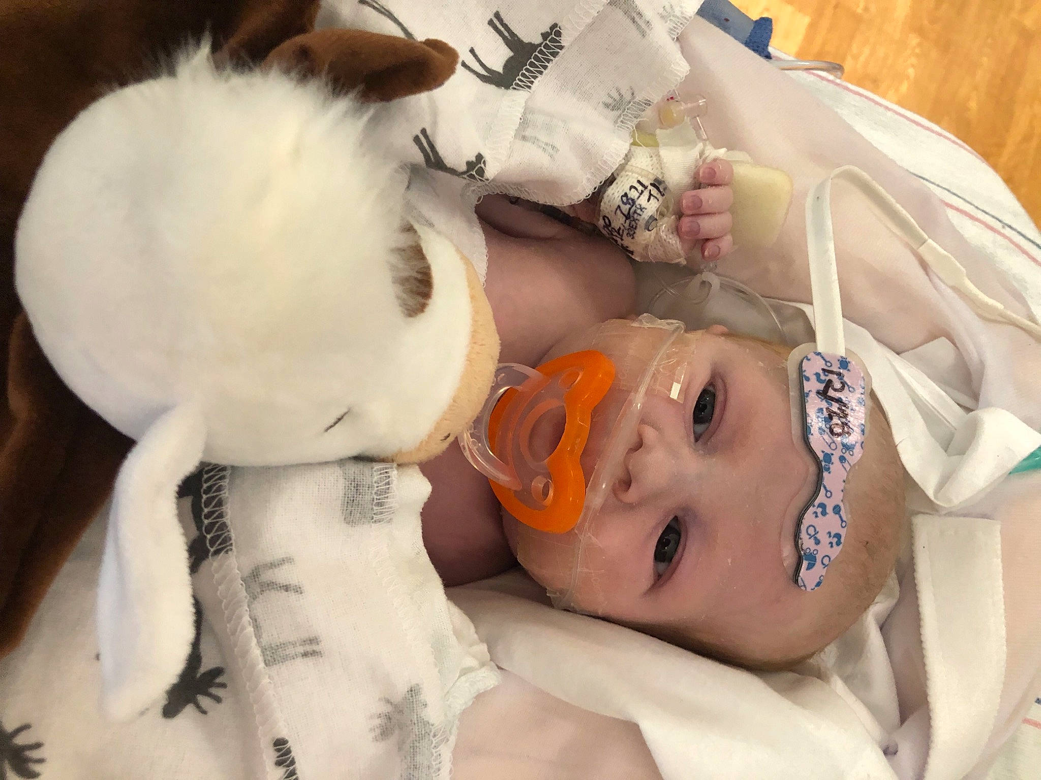 Ryker is registered to the contest to win money with this photo: abdomen, chest, child, comfort, doll, eyebrow, eyelash, fawn, fur, gesture, happy, head, linens, mouth, neck, person, skin, stuffed_toy, textile, toy