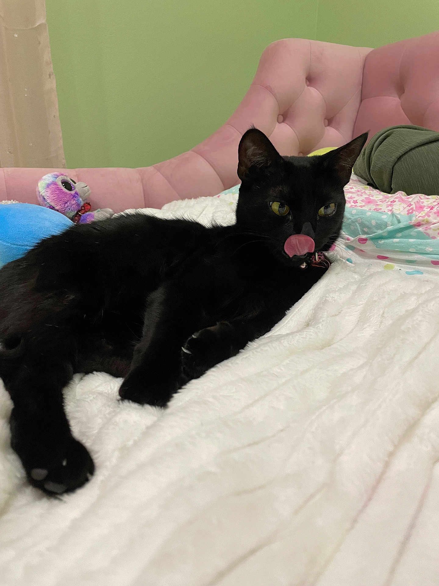 Hally joined the competition — help win amazing prizes! black_cat, cat, pet, indoor, bed, blanket, pink_headboard, stuffed_toy, pillow, tongue_out, feline, relaxed, cozy, fur, animal, whiskers, bedroom, soft_texture, cute, resting