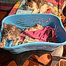 cat, kitten, laundry_basket, towel, bed, colorful, indoor, furniture, playful, resting, fur, pet, animal, table, floor, tile_floor, cozy, domestic, home, feline