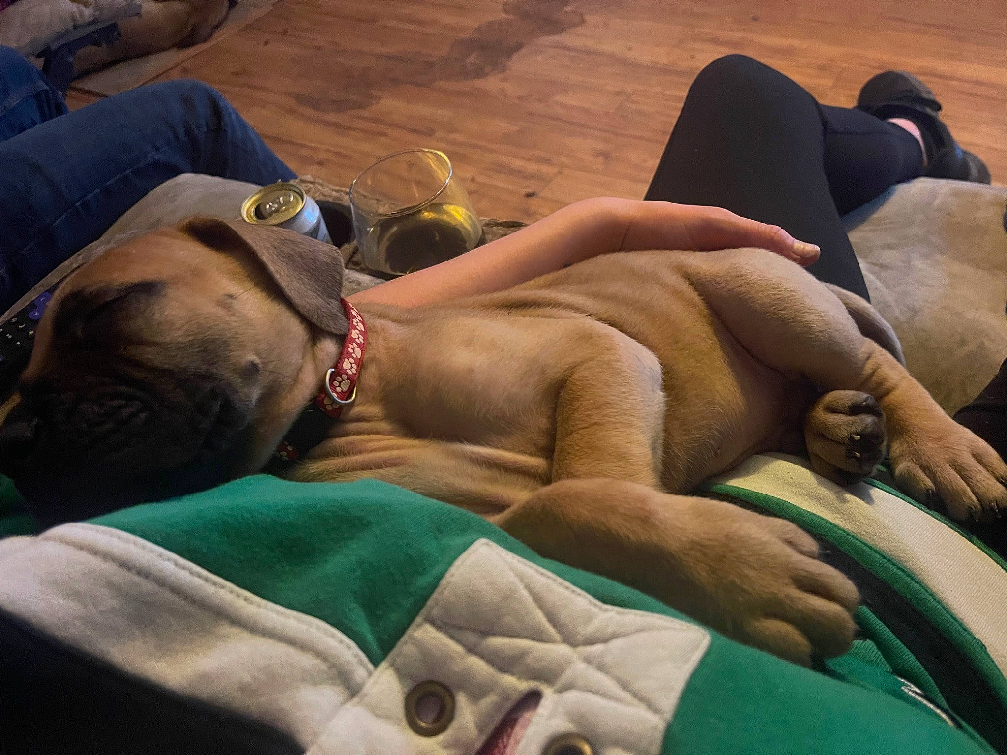 Walker joined the competition — help win amazing prizes! abdomen, barechested, chest, comfort, dog, eyewear, fawn, foot, goggles, hat, human_leg, knee, leisure, linens, mammal, sand, sunglasses, textile, thigh, trunk