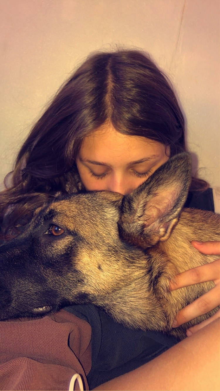 Maya participe au concours pour gagner de l'argent avec cette photo : carnivore, comfort, companion_dog, dog, dog_breed, ear, fawn, fun, fur, gesture, hair, happy, jaw, mouth, nose, organ, sitting, skin, snout, whiskers