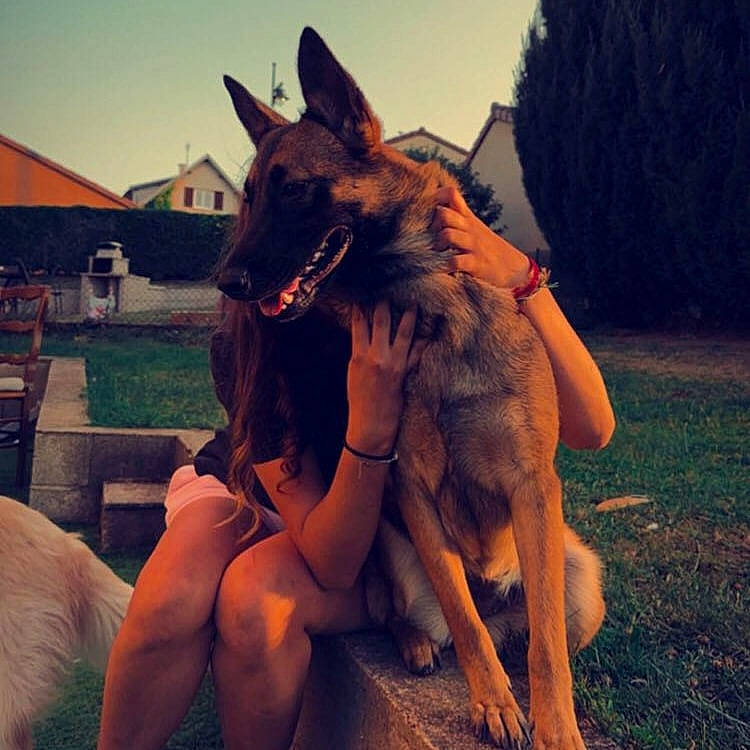 Maya a rejoint le concours — aidez-le/la à gagner de superbes lots ! canidae, carnivore, companion_dog, dog, dog_breed, east_european_shepherd, electric_blue, fawn, fun, fur, german_shepherd_dog, happy, herding_dog, human_leg, king_shepherd, landscape, sky, snout, sporting_group, thigh