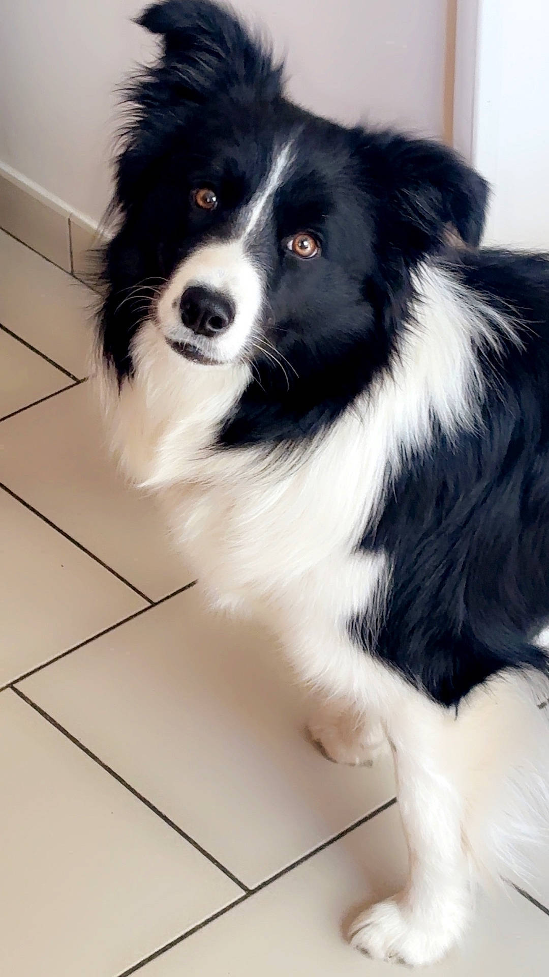 Axelle