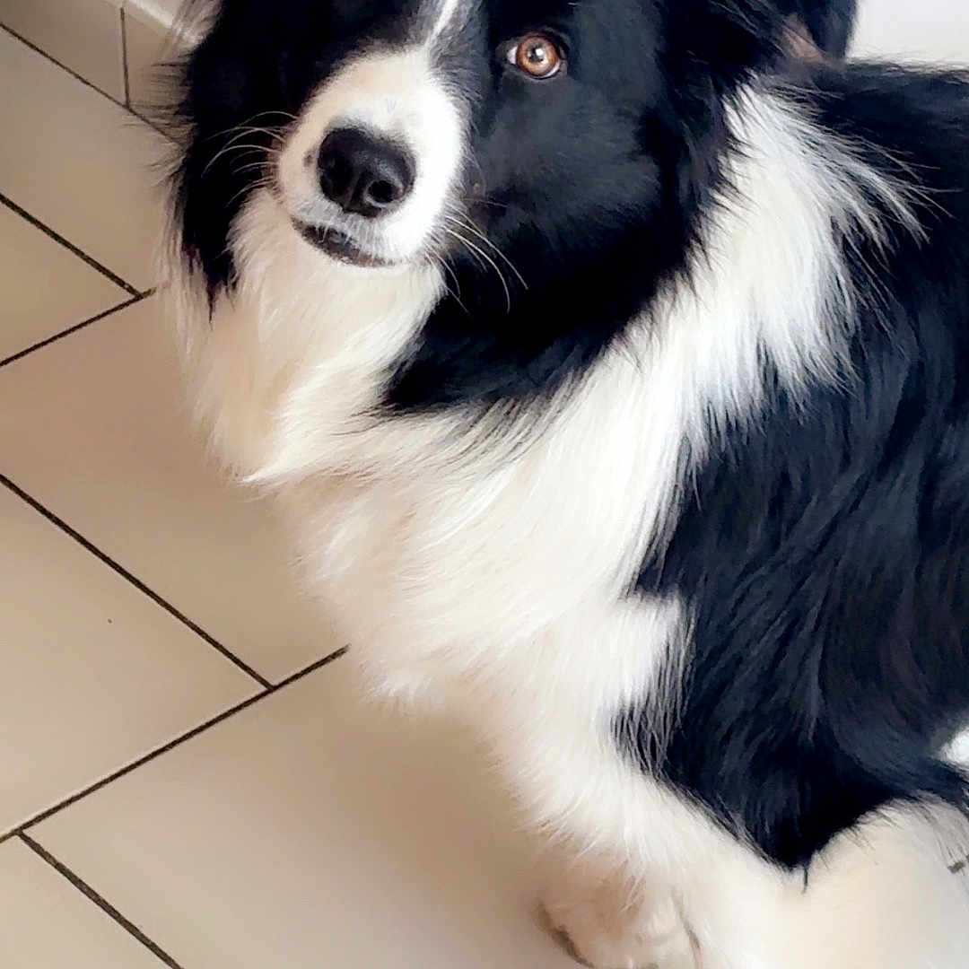 Axelle