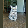 cat, gray_tabby, yellow_eyes, wooden_floor, indoor, animal, pet, feline, sitting, looking, regal, calm, birdcage, door, floor, domestic_cat, striped_fur, close_up, house, quiet