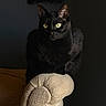 black_cat, cat, yellow_eyes, feline, pet, animal, indoor, chair, armrest, texture, shadow, dark_background, portrait, whiskers, ears, sitting, cozy, fur, domestic_cat, mammal