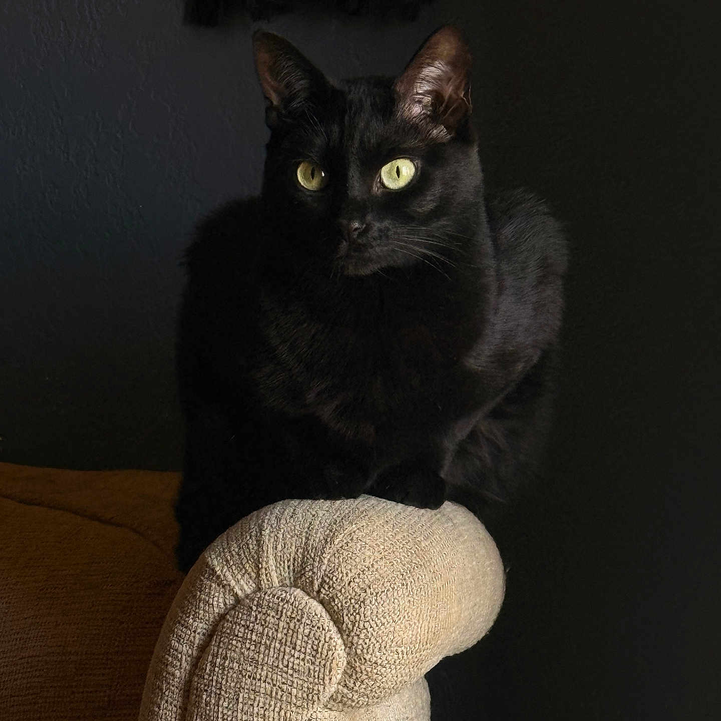 Midi