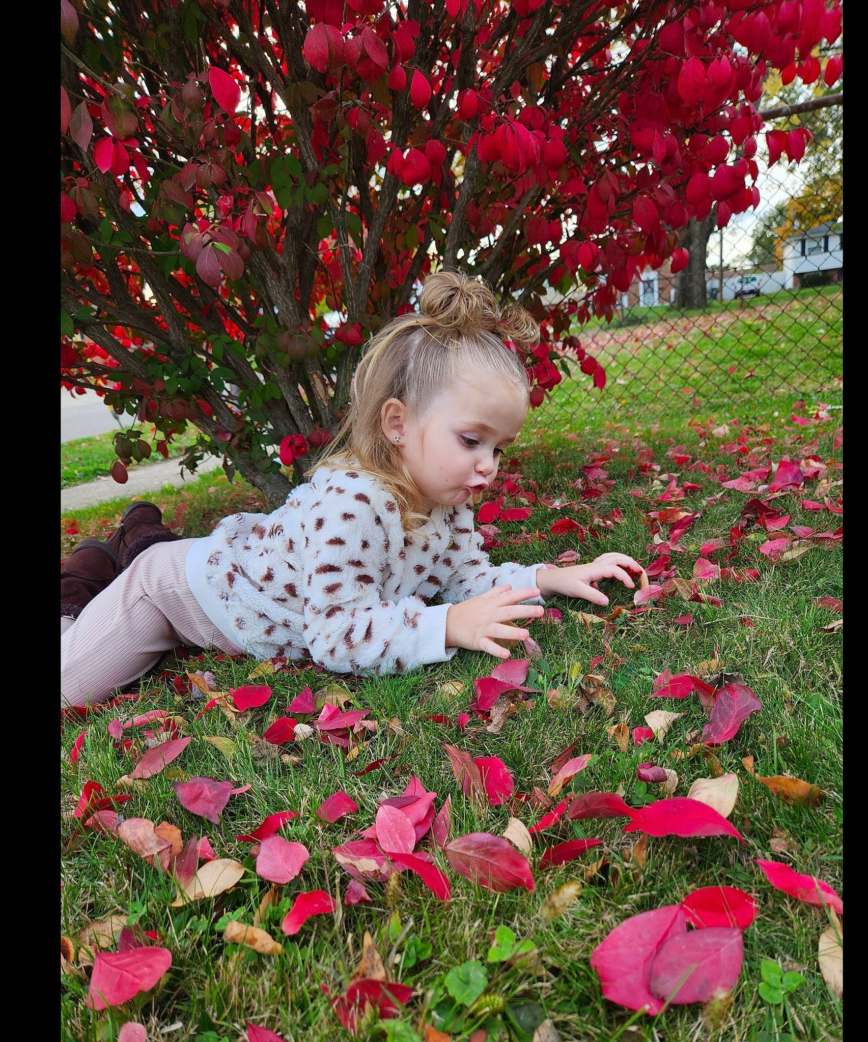 Za'Kyah joined the competition — help win amazing prizes! baby, beauty, botany, branch, flower, flowering_plant, grass, groundcover, happy, leaf, nature, people_in_nature, person, petal, pink, plant, red, smile, toddler, tree