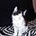 Blacky