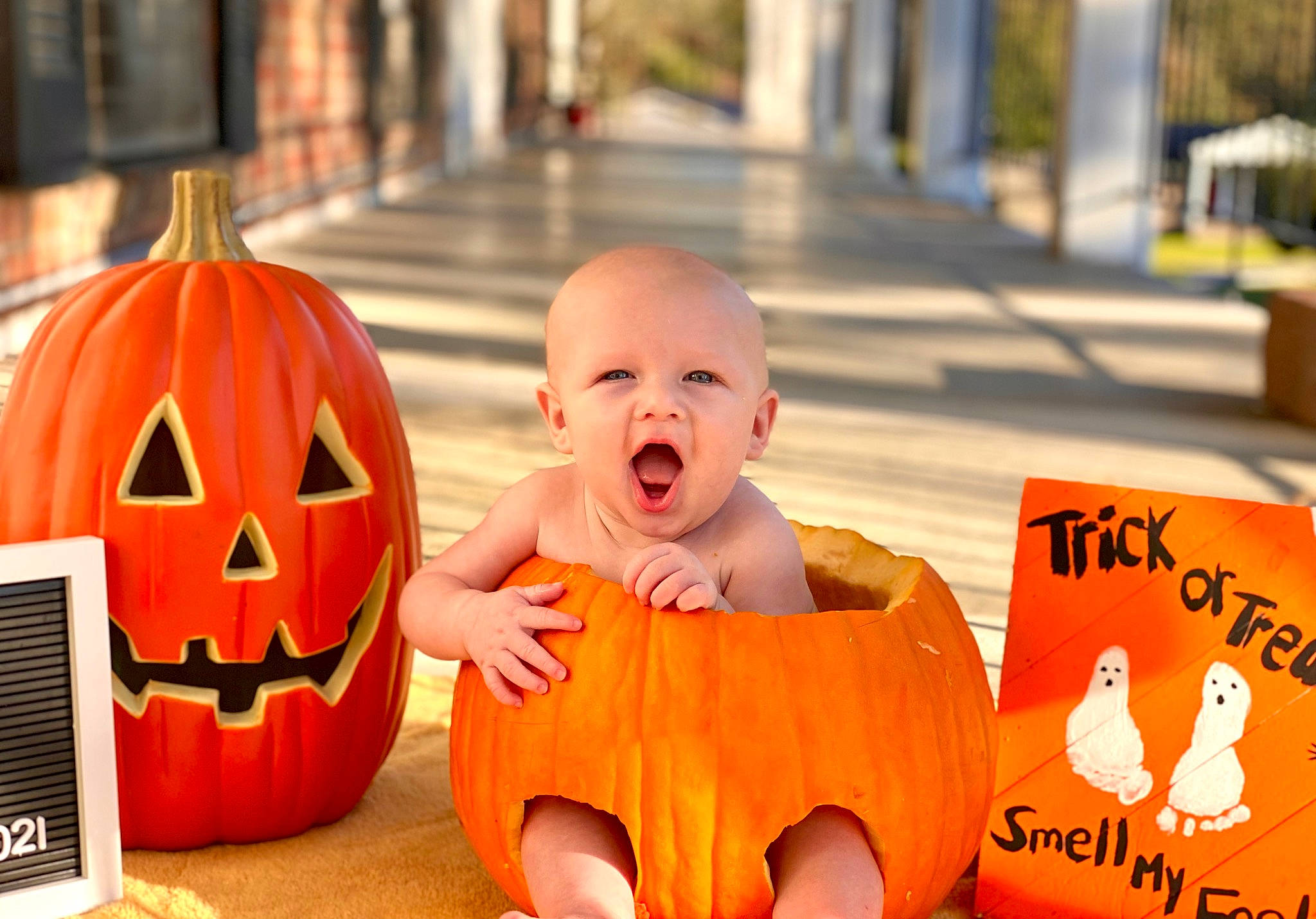 Russell joined the competition — help win amazing prizes! art, baby, calabaza, cucurbita, eye, facial_expression, fruit, gourd, happy, jack_o_lantern, natural_foods, orange, person, plant, pumpkin, smile, squash, tree, vegetable, winter_squash