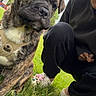 Marlow Dewayne joined the competition — help win amazing prizes! puppy, dog, grass, person, outdoor, brindle, pet, young_dog, crouching, footwear, crocs, casual_clothing, greenery, daylight, house, yard, cute, animal, canine, nature