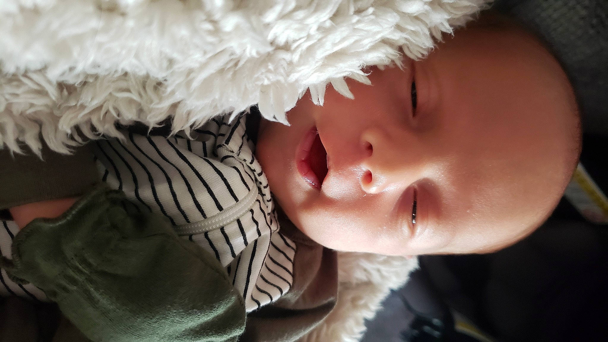 Axton joined the competition — help win amazing prizes! beauty, cap, close_up, dress, eye, eyelash, freezing, fur_clothing, gesture, grass, happy, headgear, human_body, jaw, lip, nose, person, plant, skin, snout