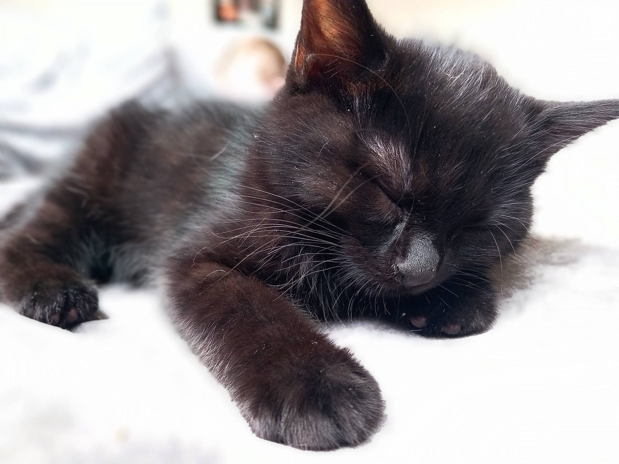 Muffin