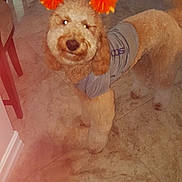 Sofie joined the competition — help win amazing prizes!