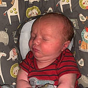 Easton joined the competition — help win amazing prizes! baby, infant, sleeping, mittens, red_shirt, blanket, animal_print, giraffe, lion, elephant, face, child, cozy, cute, newborn, pattern, fabric, indoors, resting, soft