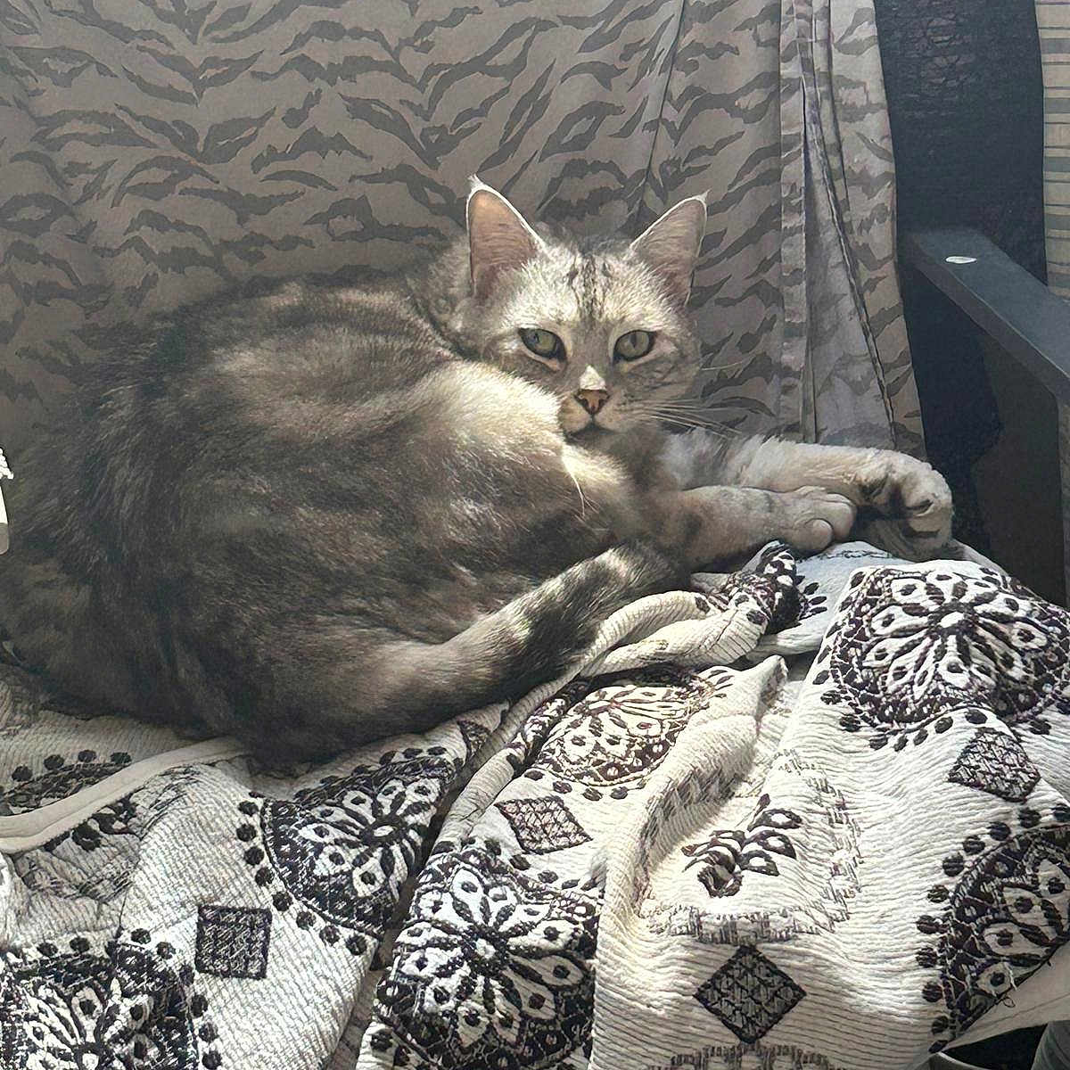 Nalla