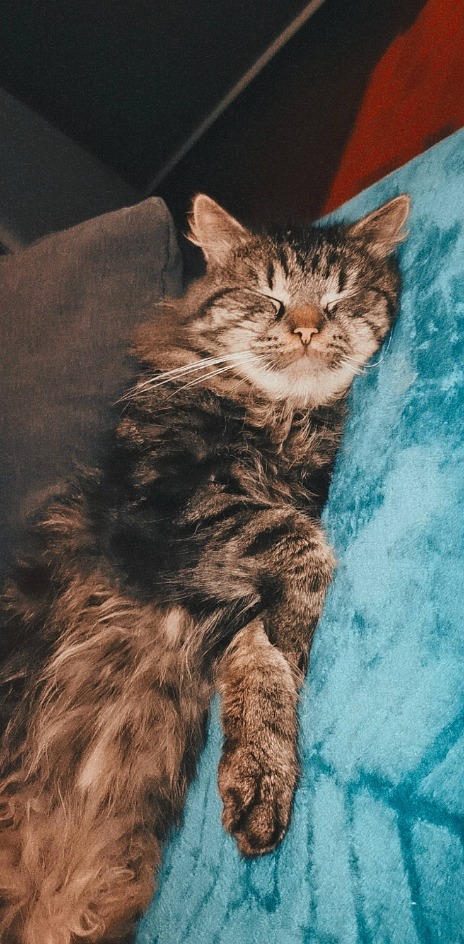 Charo