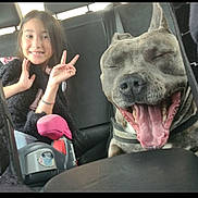 Kush a rejoint le concours — aidez-le/la à gagner de superbes lots ! child, dog, car, car_seat, peace_sign, smiling, happy, interior, seat, belt, pet, animal, friendship, tongue, mouth_open, casual, young_girl, joyful, leisure, domestic