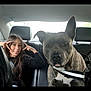 Kush participe au concours pour gagner de l'argent avec cette photo : dog, girl, car_interior, seatbelt, backseat, pet, animal, canine, young_person, black_hair, casual_clothing, leather_seat, window, daylight, playful, portrait, friendship, companion, seat_headrest, restraint