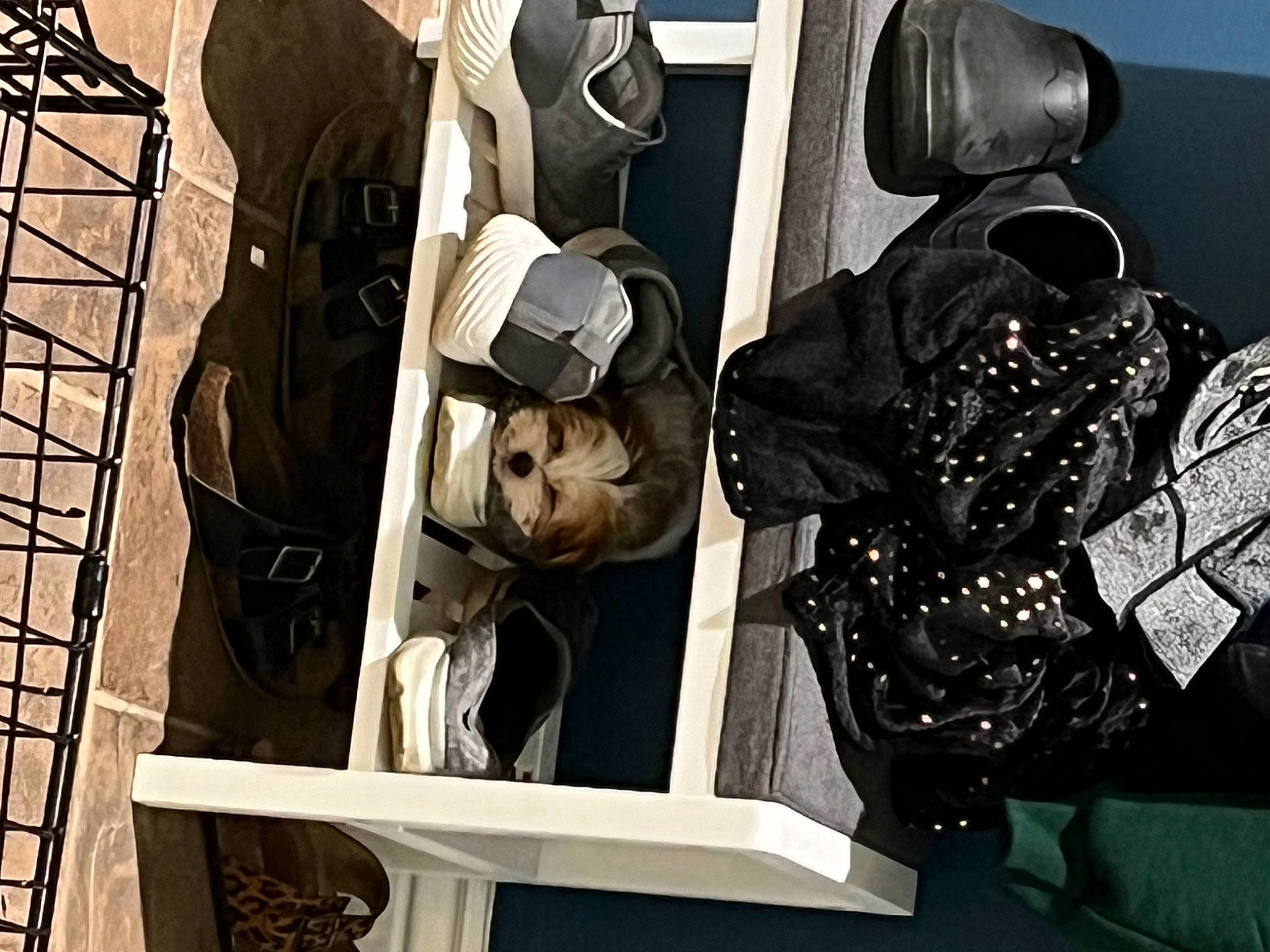 Luna Eclips is registered to the contest to win money with this photo: audio_equipment, automotive_design, bag, cameras_optics, eyewear, fashion_accessory, fictional_character, font, hat, luggage_and_bags, metal, monochrome, monochrome_photography, pattern, personal_protective_equipment, room