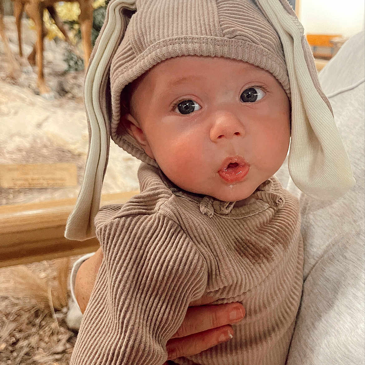 Noah is registered to the contest to win money with this photo: animal, baby, bodypart, bonnet, cap, cattle, clothing, cow, face, hat, head, hood, hoodie, knitwear, livestock, person, photography, portrait, sweater, sweatshirt