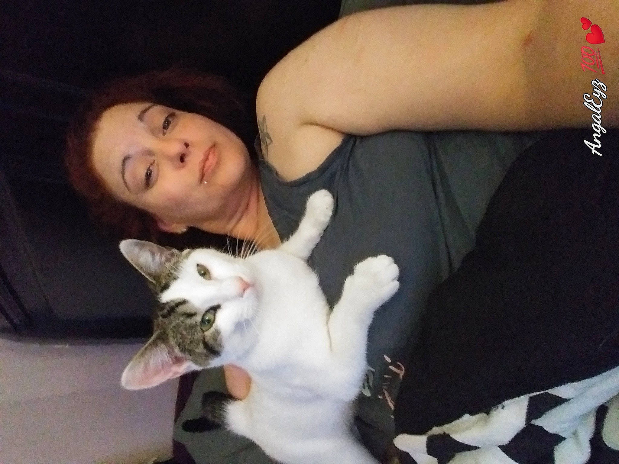 Gus joined the competition — help win amazing prizes! arm, black, carnivore, cat, comfort, ear, eye, eyebrow, fawn, felidae, flash_photography, gesture, human, human_body, joint, mammal, mouth, skin, vertebrate, whiskers