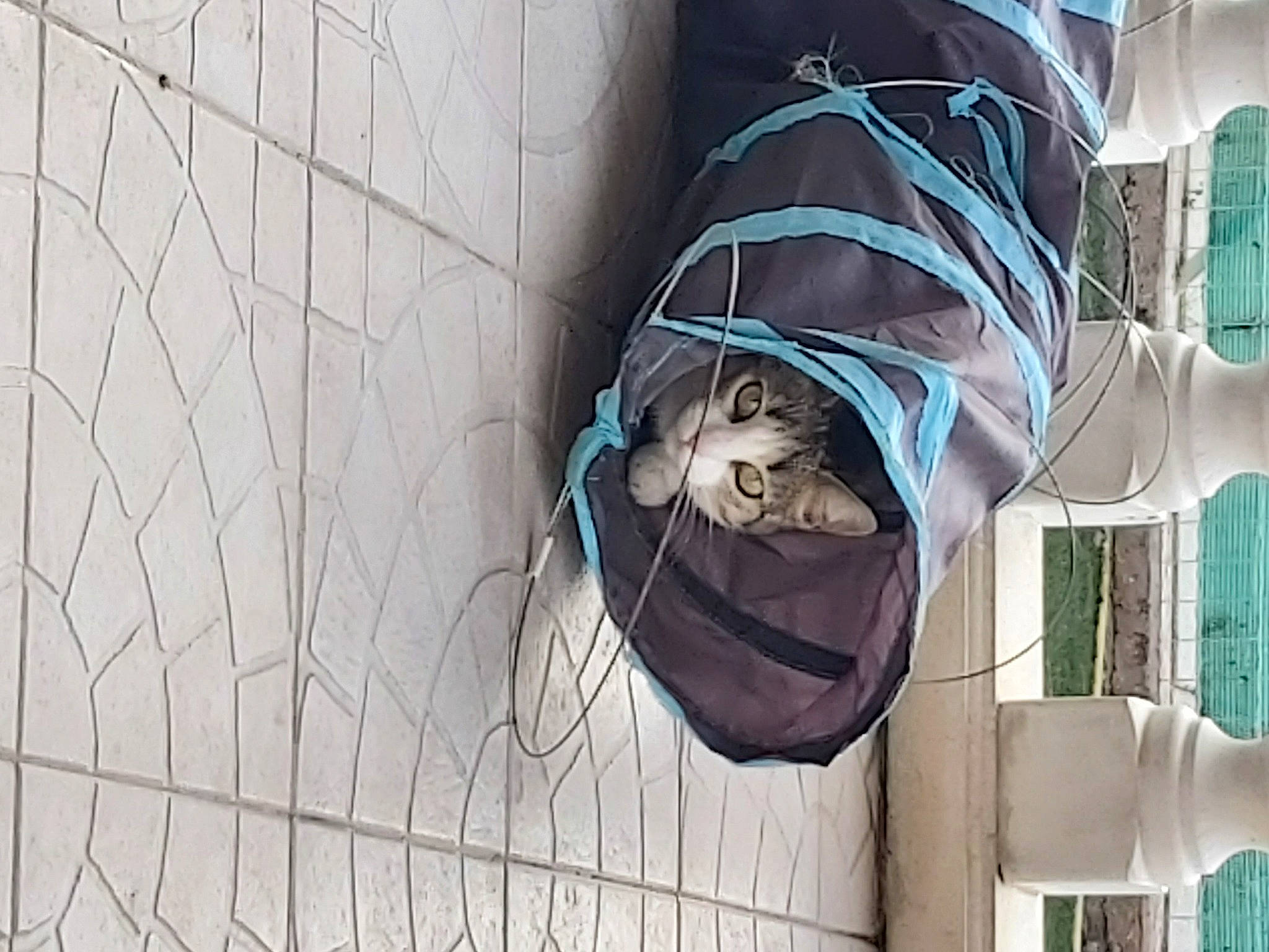 Tili a rejoint le concours — aidez-le/la à gagner de superbes lots ! art, drawing, eyewear, facade, fictional_character, graffiti, headgear, human_body, illustration, linens, mesh, mural, painting, pattern, t_shirt, visual_arts, wall, wire, wire_fencing, wood