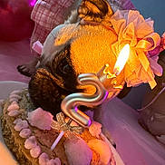 Luna is registered to the contest to win money with this photo: dog, birthday_cake, candle, number_2, pink_outfit, pet, celebration, cake, animal, close_up, indoor, cute, face, lighting, warm_light, decorations, festive, sniffing, table, party