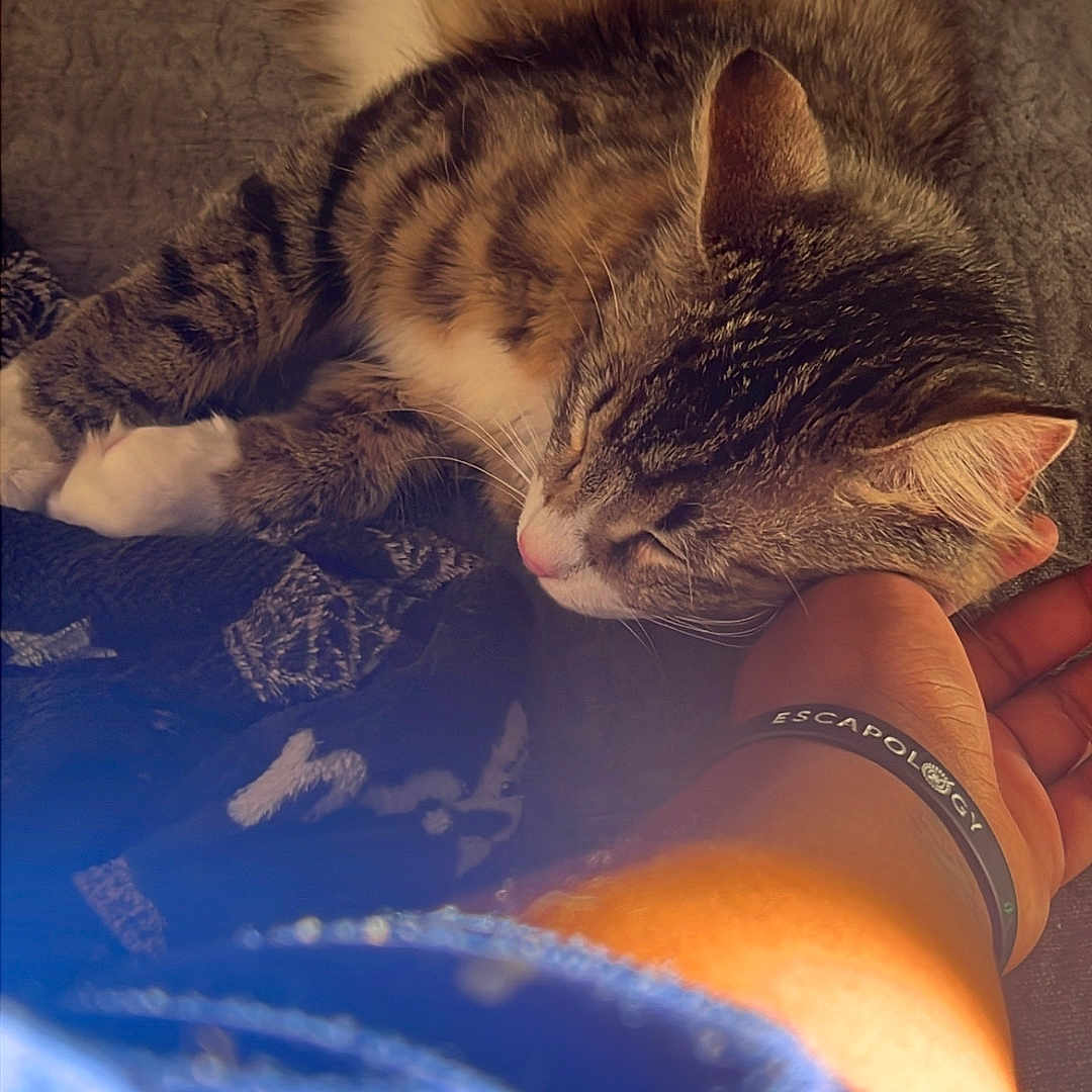 Milo