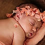 Marylia a rejoint le concours — aidez-le/la à gagner de superbes lots ! baby, basket, blanket, closeup, cute, ear, face, flower_crown, flower_petal, head, infant, newborn, peaceful, pink, portrait, resting, skin, skin_texture, sleeping, soft_texture