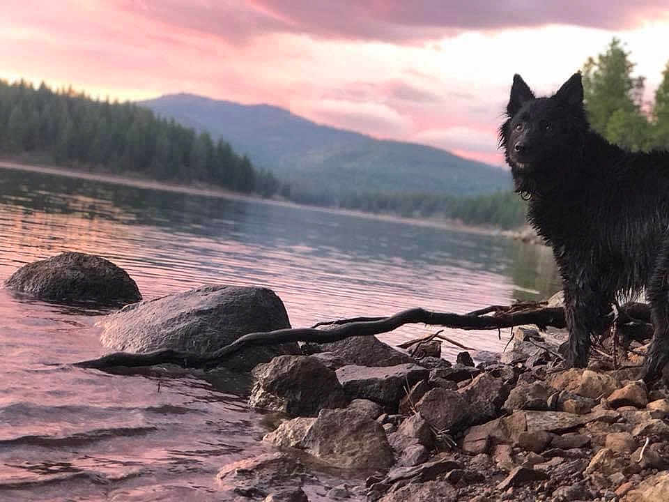Tasha