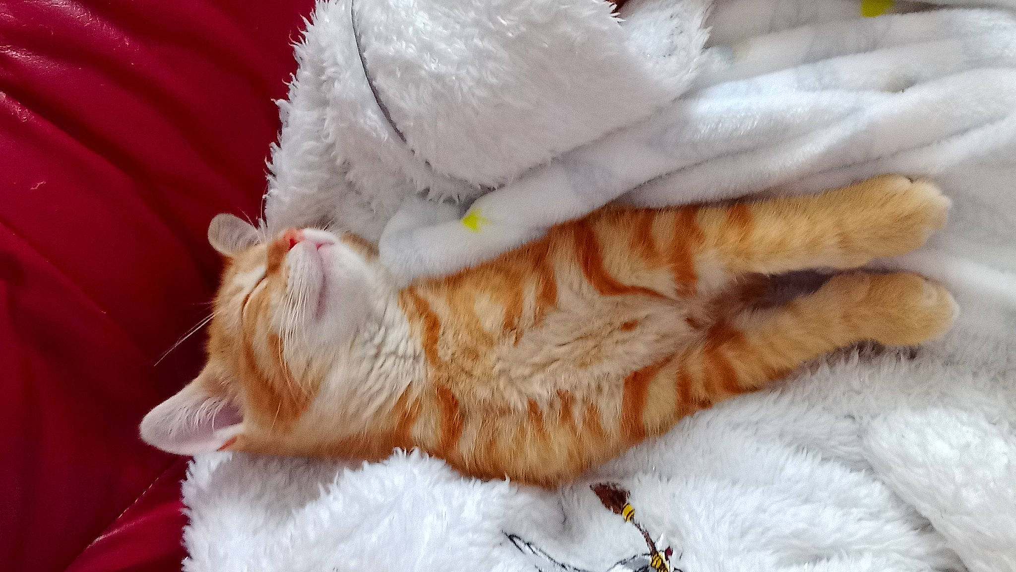 Ron