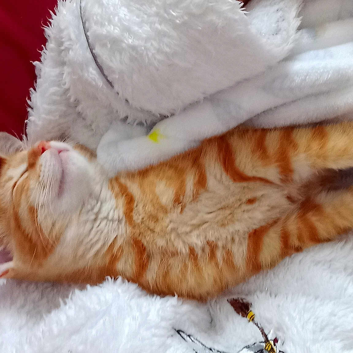 Ron