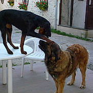 Jade'tchoum participe au concours pour gagner de l'argent avec cette photo :