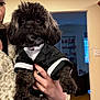dog, black_dog, pet, tuxedo, clothing, person, hand, fur, cute, indoor, home, portrait, animal, furry, small_dog, holding, cute_pet, cozy, fashion, adorable